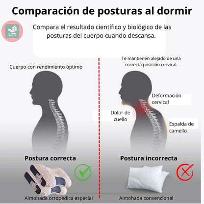 2x1 | Almohada Ortopédica Cervical™️Descansa como te mereces